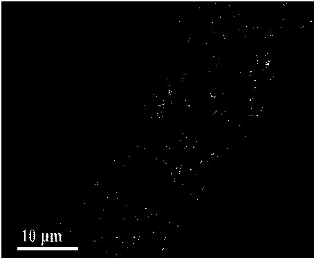 Preparation method of water system high-voltage electrode material, and application