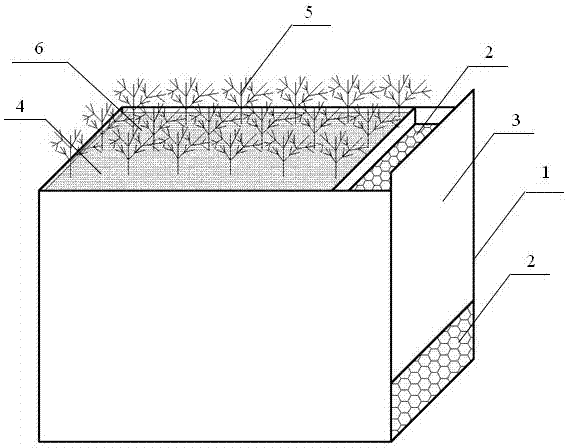 Portable combined constructed wetland purifying box for farmland drainage ditch