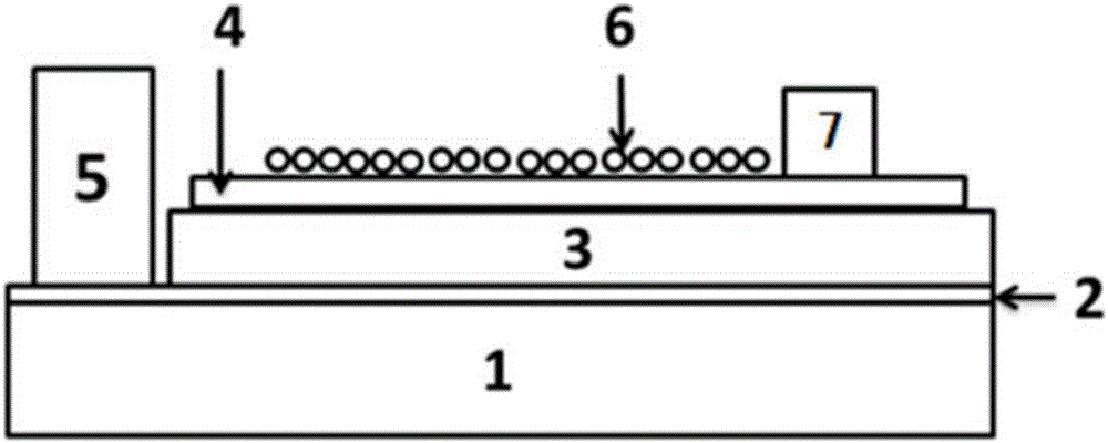 Carbon quantum dot enhanced photoelectric detector and preparation method thereof