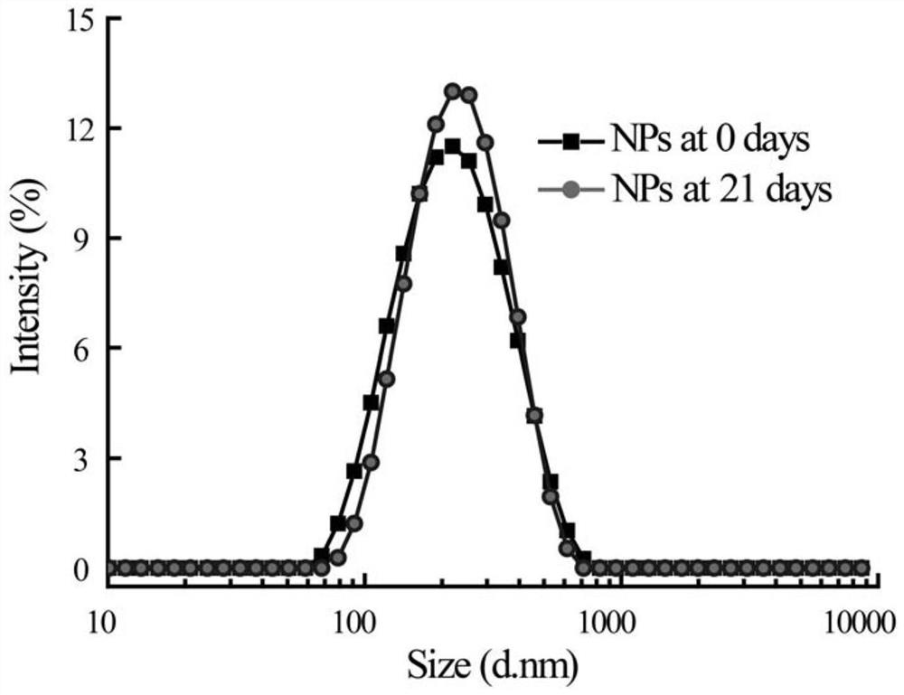 A kind of high drug-loaded photo-chemotherapy bifunctional nanoparticle and preparation method thereof