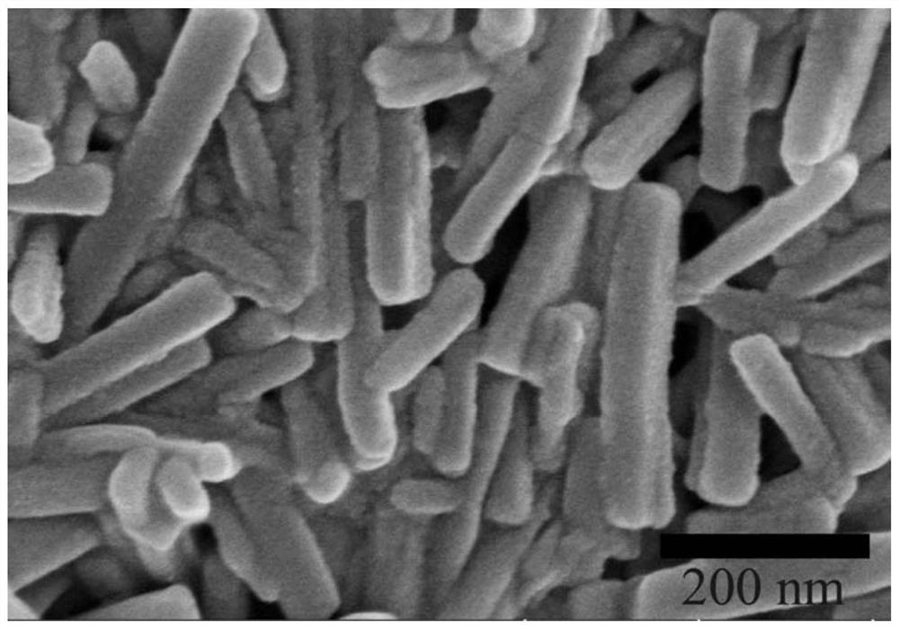 A kind of high drug-loaded photo-chemotherapy bifunctional nanoparticle and preparation method thereof