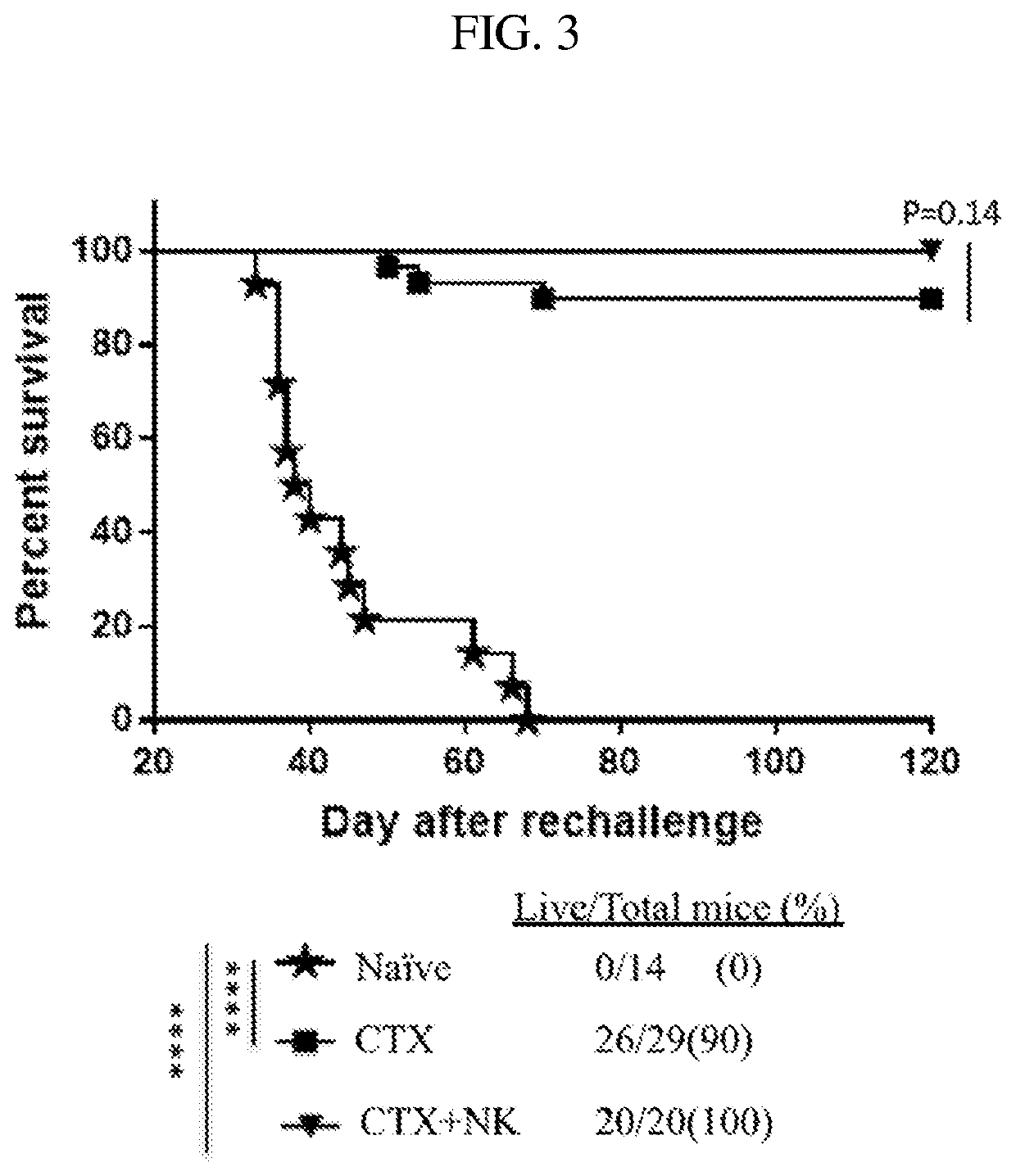 Combination of natural killer cells with cyclophosphamide compounds for the treatment of cancer