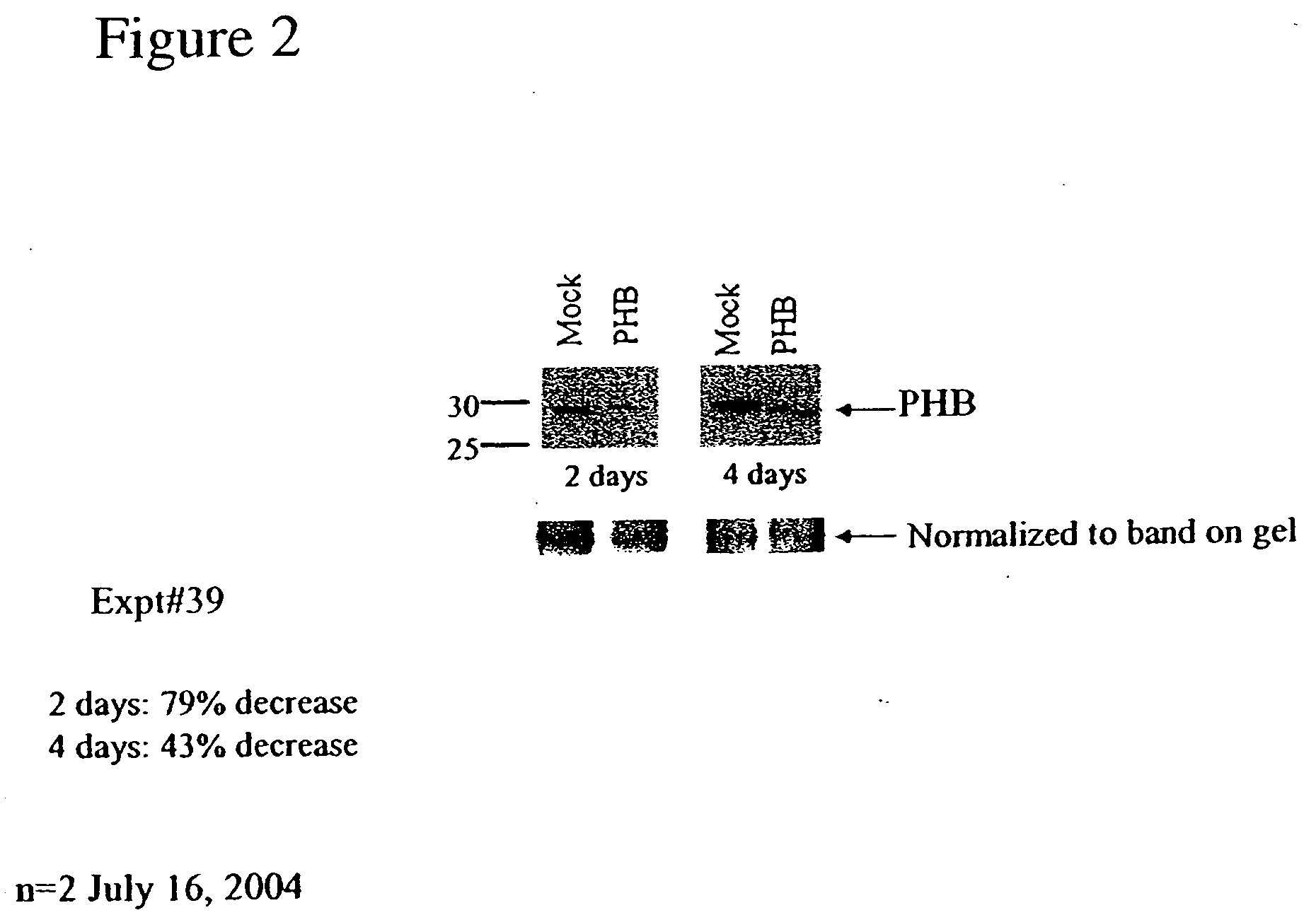 Prohibitin-directed diagnostics and therapeutics for cancer and chemotherapeutic drug resistance