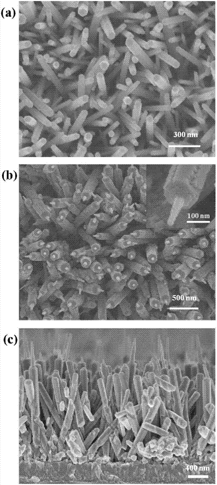 Zinc oxide nanopencil array electrode and preparation method and application thereof
