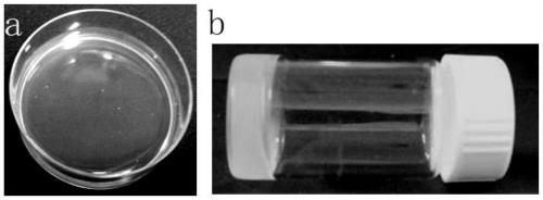 3D biological printing ink as well as preparation method and application thereof