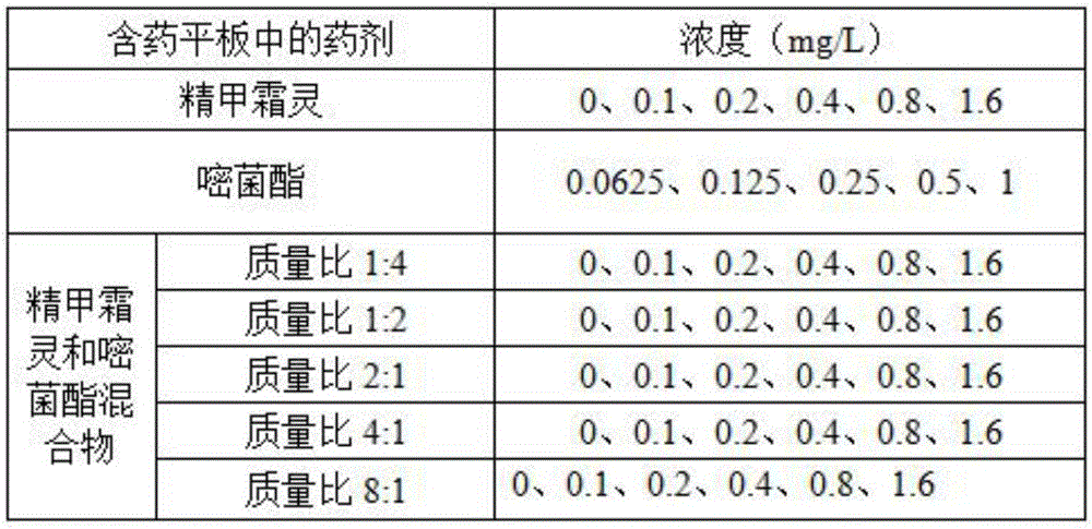 Pesticide composition, suspended seed coating and application thereof
