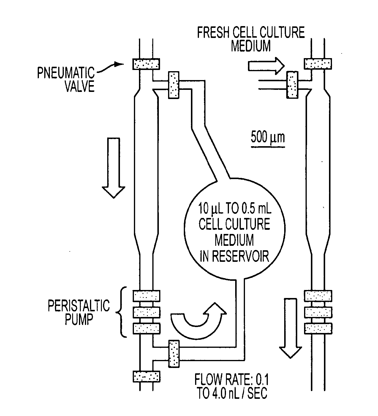 Microfluidic platform for cell culture and assay