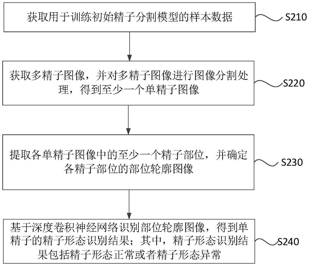 Sperm morphology recognition method based on deep convolutional neural network and storage medium