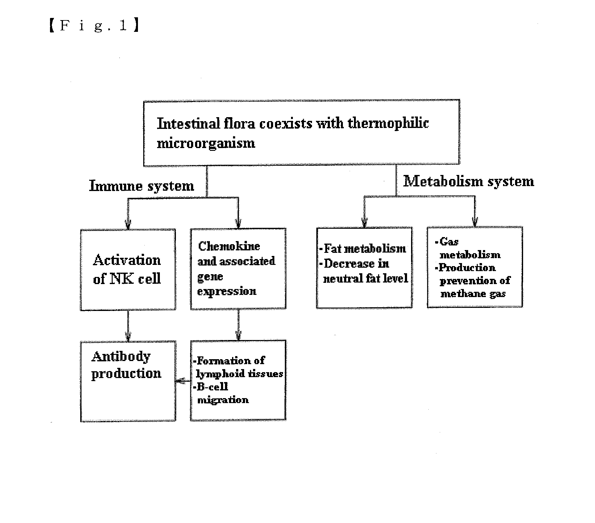 Mixture, Dissolving Solution and Pharmaceutical Agent Each Comprising Thermophilic Microorganism