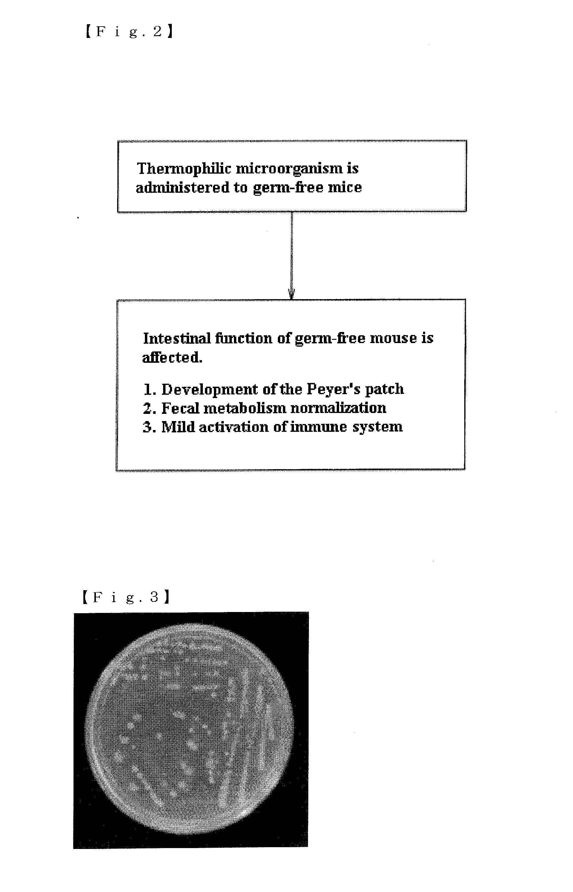 Mixture, Dissolving Solution and Pharmaceutical Agent Each Comprising Thermophilic Microorganism