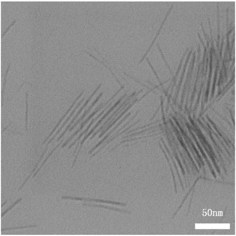 Method for synthesizing ultrafine ternary cobalt molybdenum phosphorus nanorod