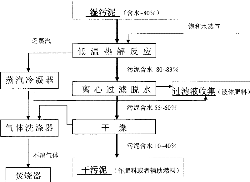 System and process for anhydration treatment of wet sludge