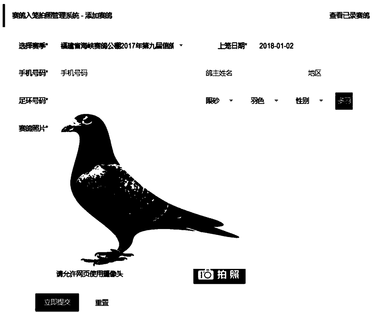 Online photographing and synthesizing system for homing pigeons into cage