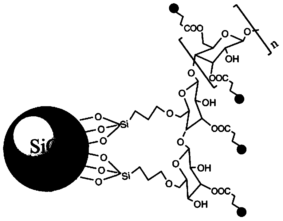 Gold nanoparticle-polysaccharide bonded silica gel fixed phase and preparation method thereof