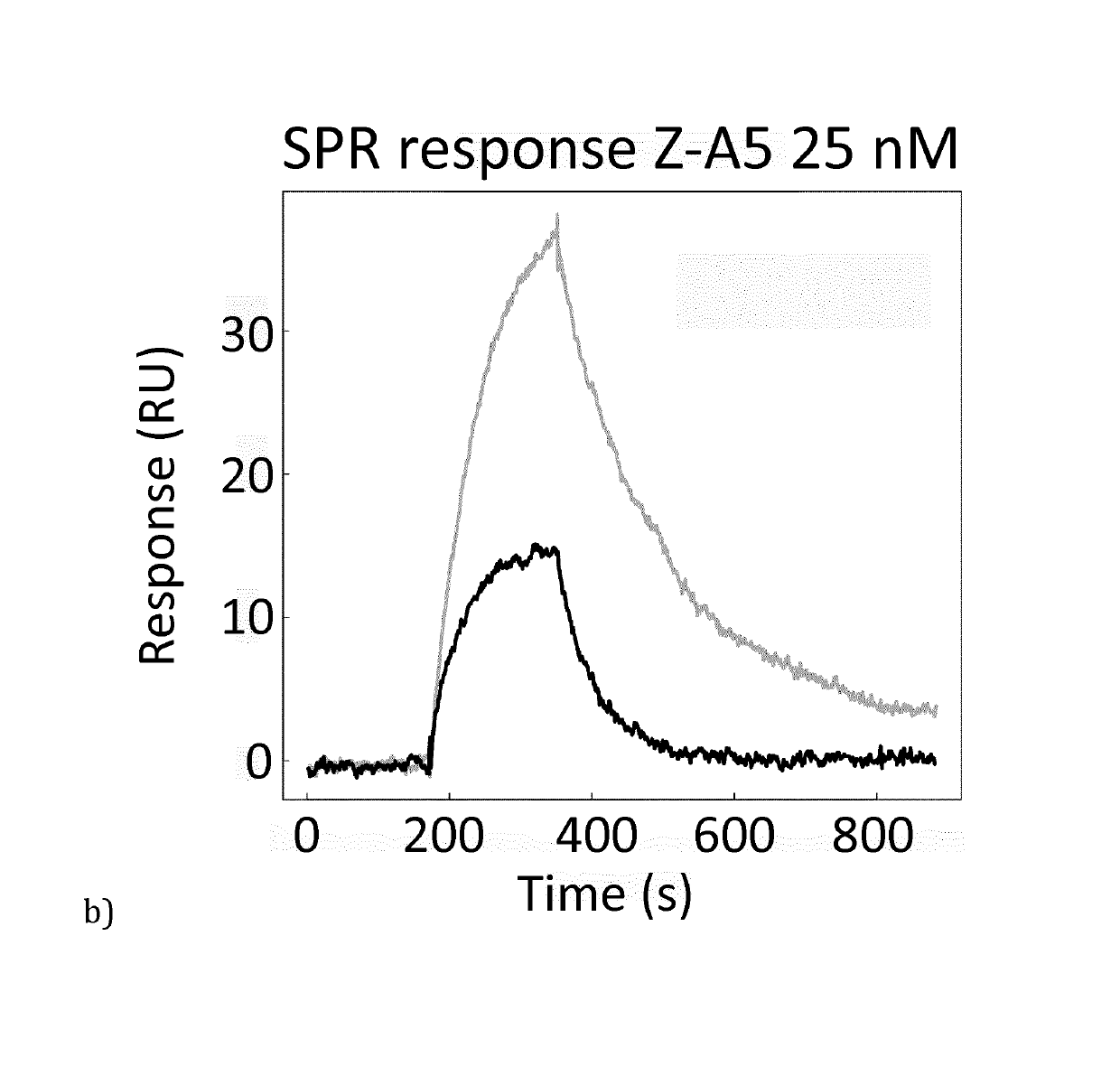 Novel Ligand and Use Thereof