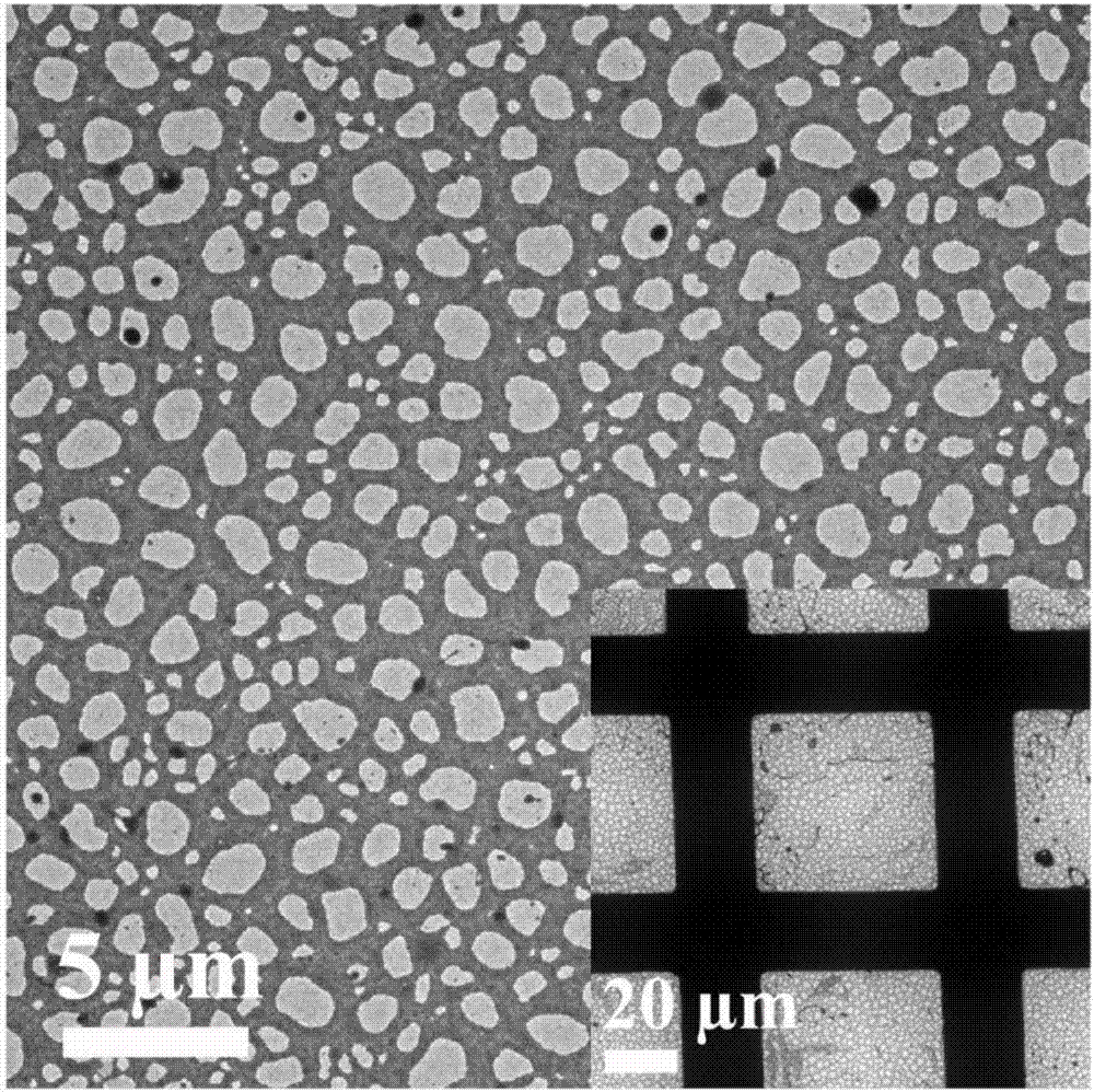 Macroporous-mesoporous-microporous zinc oxide material and preparation method and application thereof
