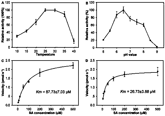 A kind of ginger floral benzene cyclic ester floral fragrance gene hcbsmt and its application