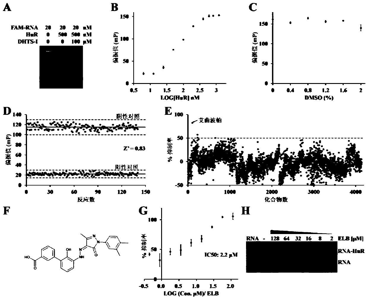 Application of eltrombopag in preparing tumor angiogenesis inhibiting drugs and antitumor drug compositions