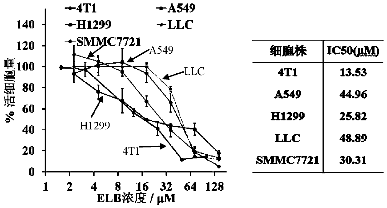 Application of eltrombopag in preparing tumor angiogenesis inhibiting drugs and antitumor drug compositions