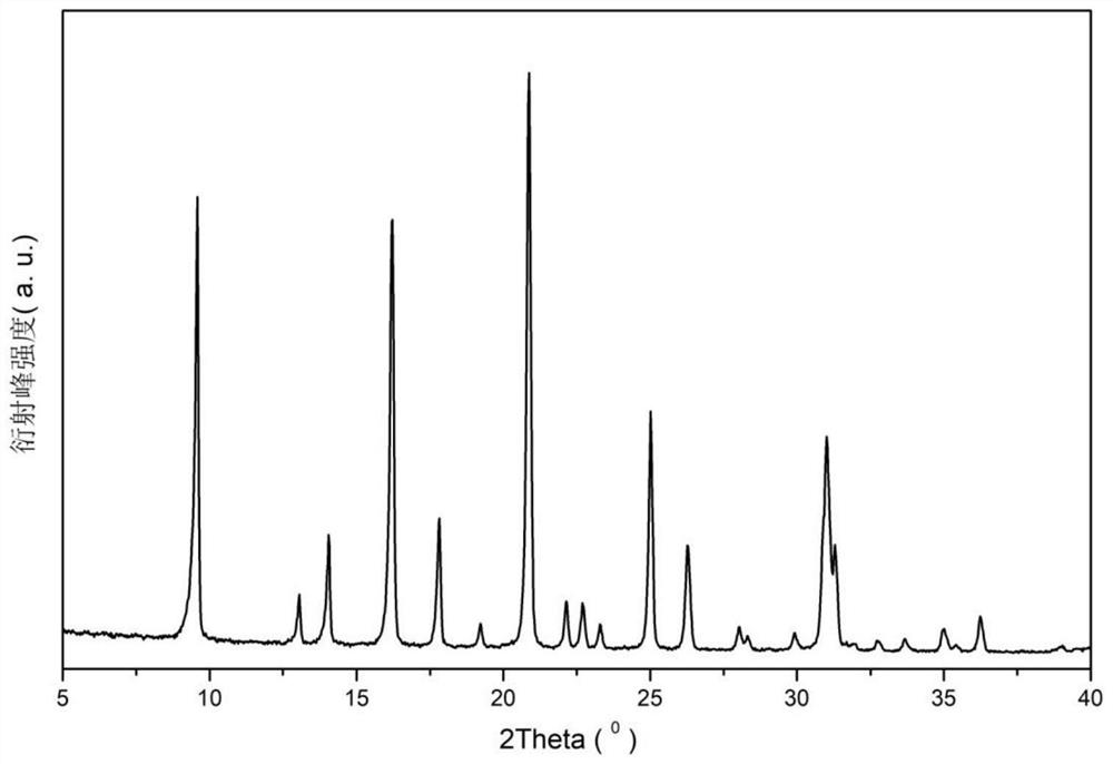 CHA molecular sieve synthesized by novel structure template agent and SCR catalyst and application thereof