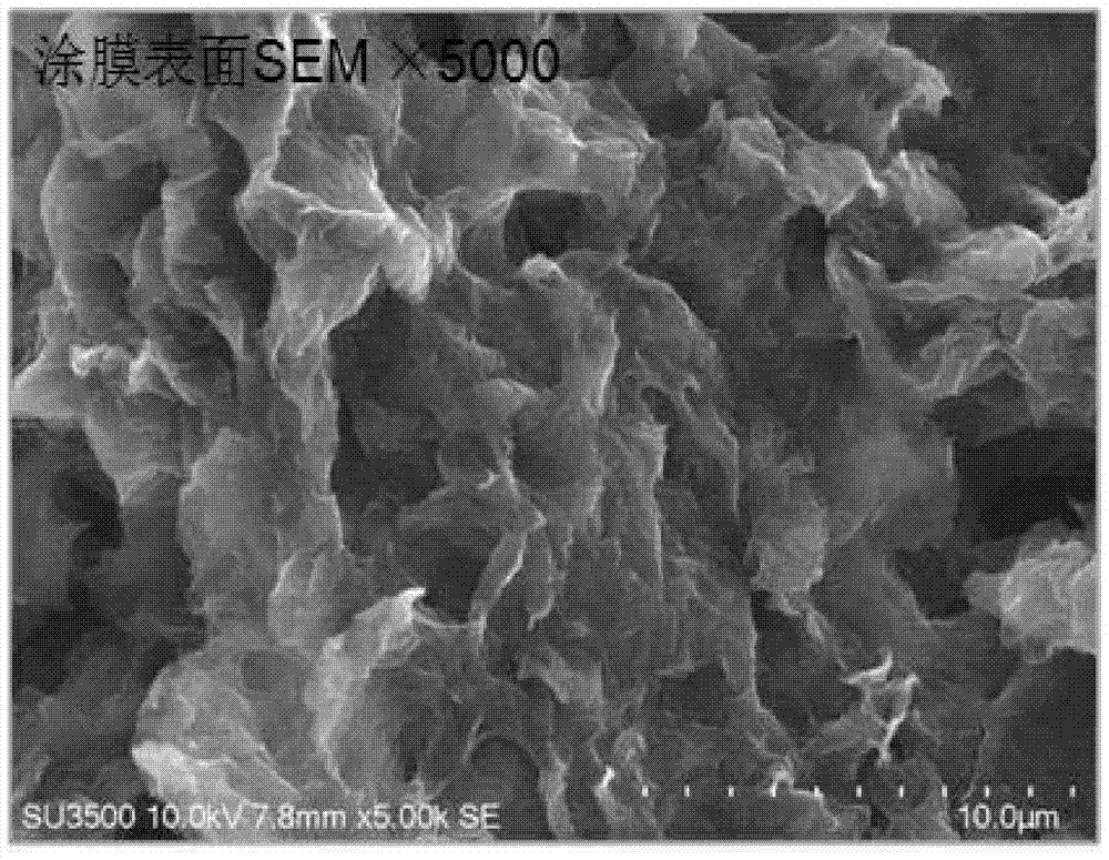A kind of graphene heat dissipation coating and its preparation method and application