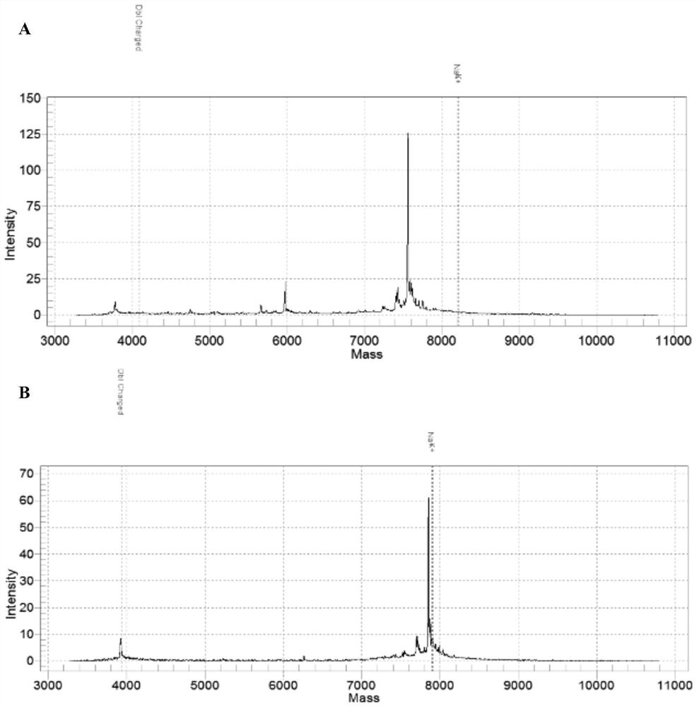 Method, kit and application for screening target regions detected by methylated PCR