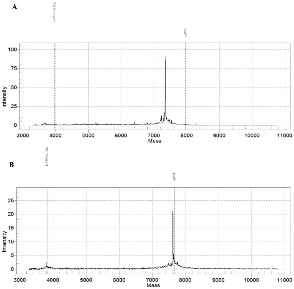 Method, kit and application for screening target regions detected by methylated PCR