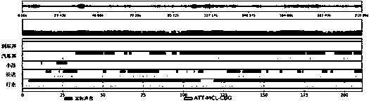 Specific sound event retrieval and positioning method based on sequence classification