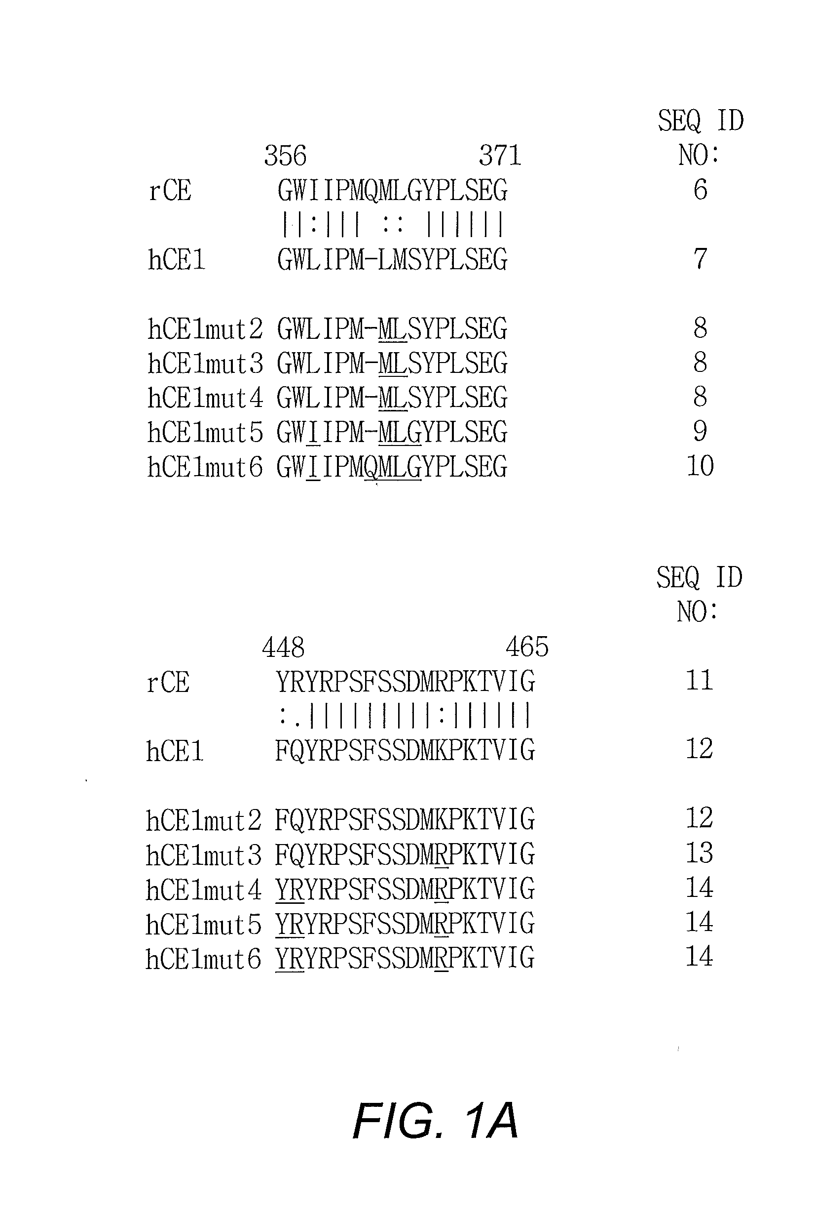 Composition and method for inhibiting tumor cell growth