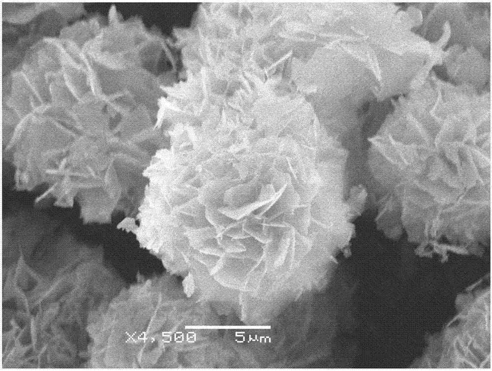Method for preparing porous and spherical basic magnesium carbonate crystal by utilizing magnesite