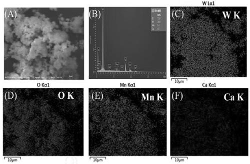 Tungsten-manganese-calcium/mesoporous tungsten trioxide composite that can be used to prepare photoanode and preparation method thereof
