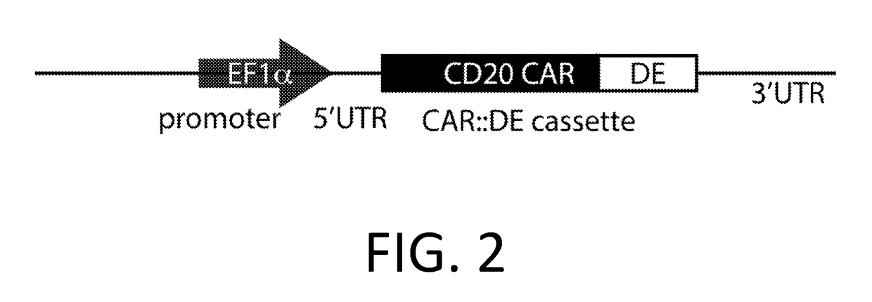 Smart CAR devices, DE CAR polypeptides, side CARs and uses thereof