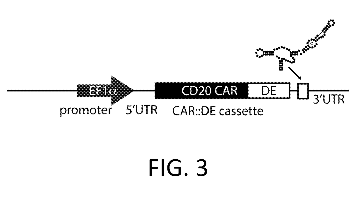 Smart CAR devices, DE CAR polypeptides, side CARs and uses thereof