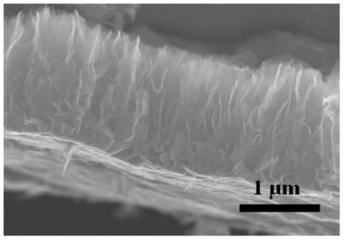 Method used for preparing vertical graphene film taking biomass as raw material