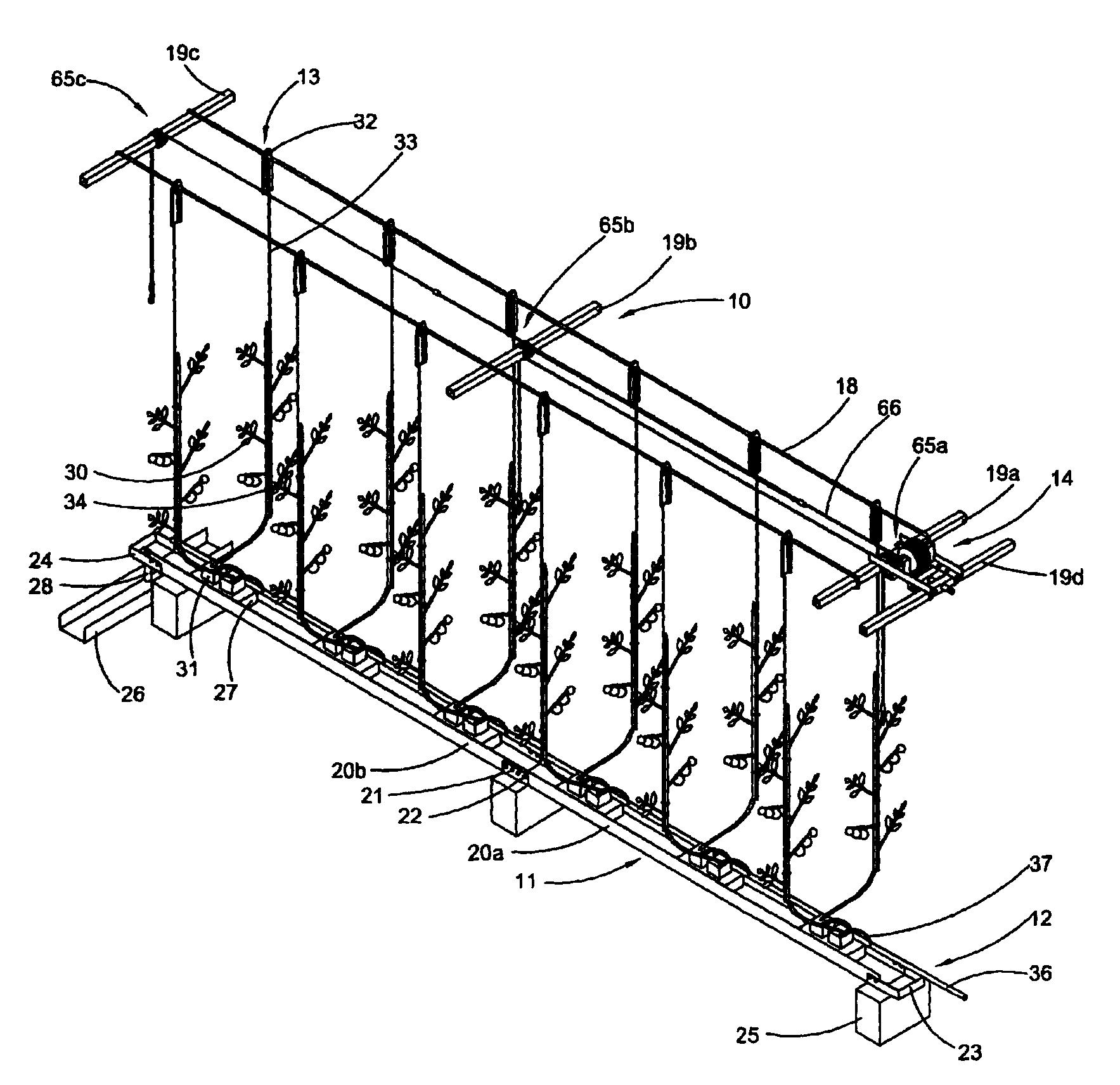 Method and apparatus for growing vine crops in a greenhouse