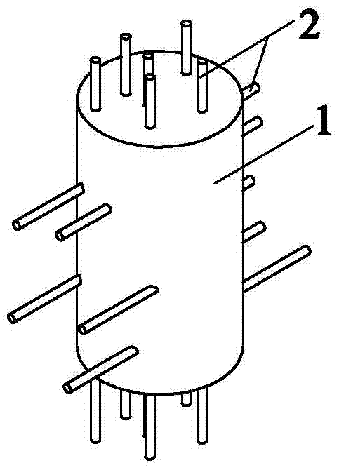 A kind of animal-derived nerve scaffold and preparation method thereof