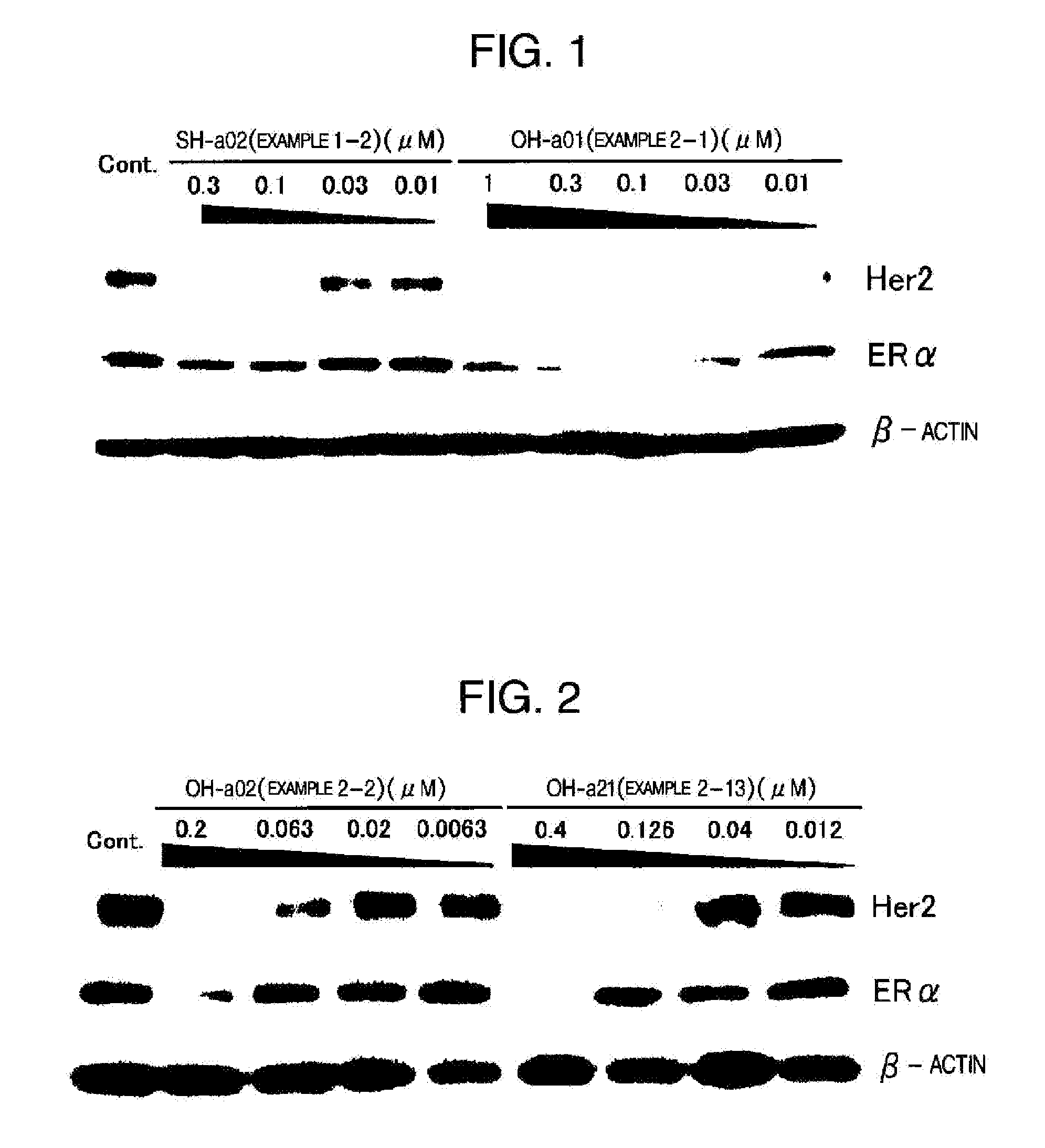 Novel HSP90 Inhibitor