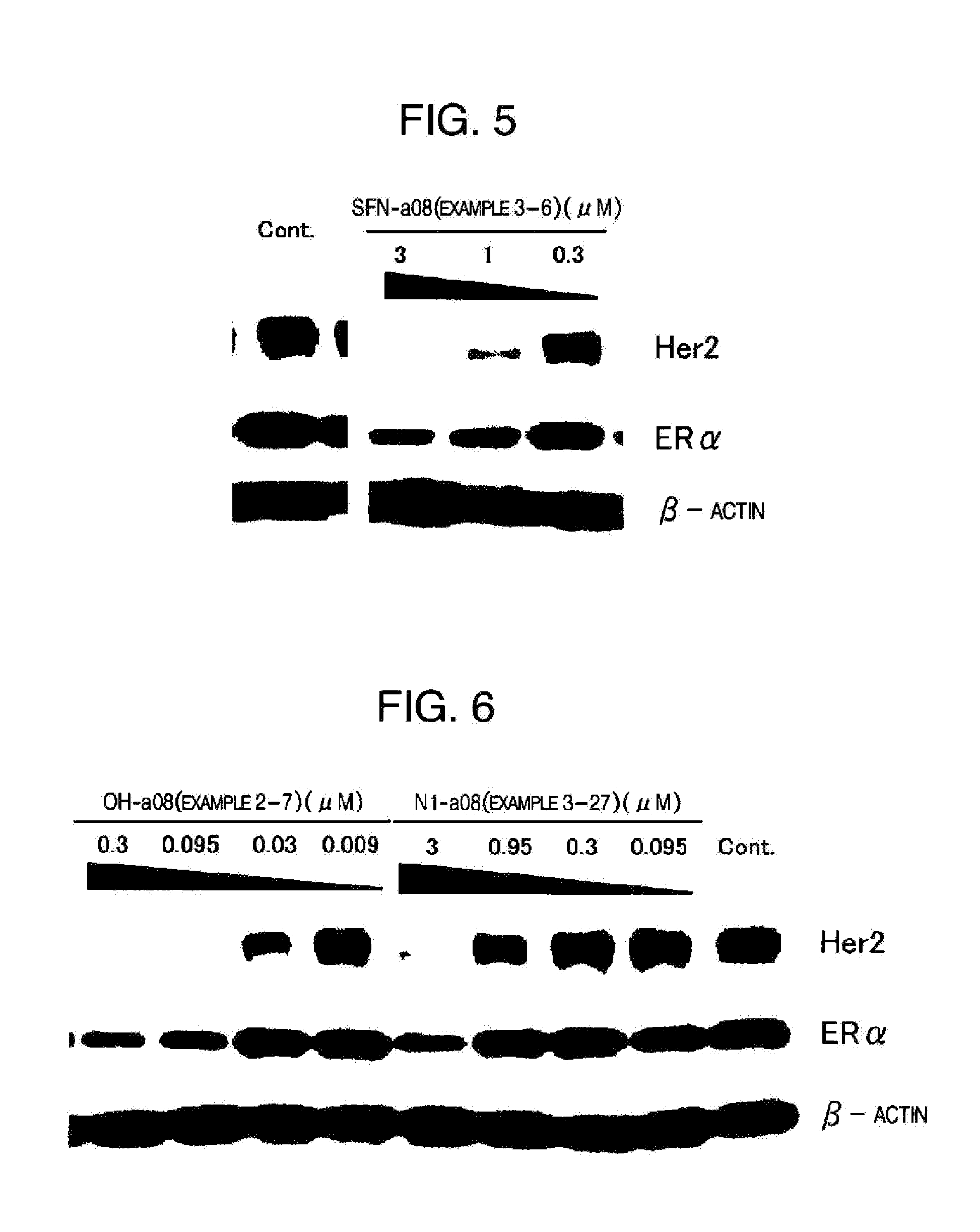 Novel HSP90 Inhibitor