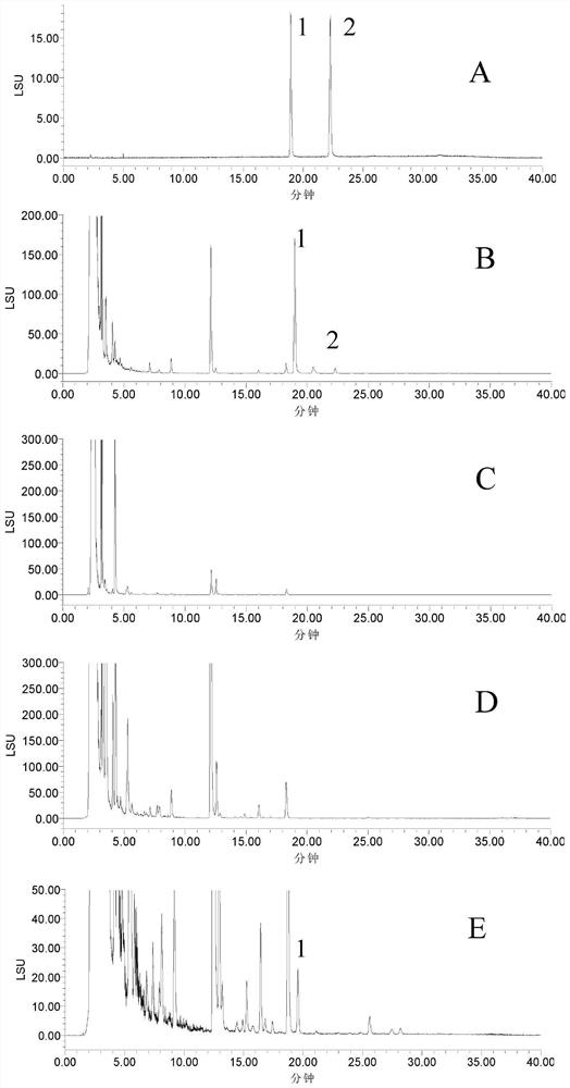 Method for rapidly detecting adulterated lonicerae flos in heat-clearing and detoxifying oral liquid