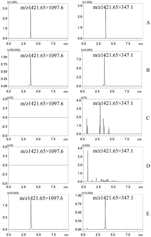 Method for rapidly detecting adulterated lonicerae flos in heat-clearing and detoxifying oral liquid