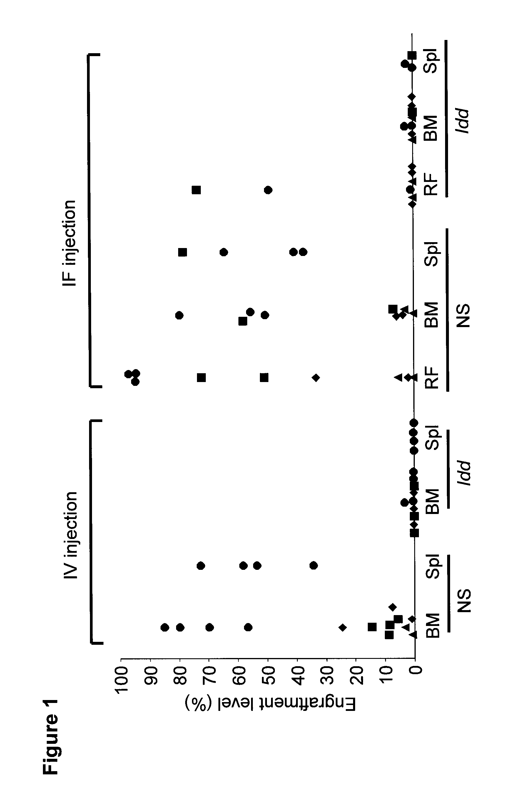 Compositions and Methods for Treating Hematological Cancers Targeting the SIRPA CD47 Interaction