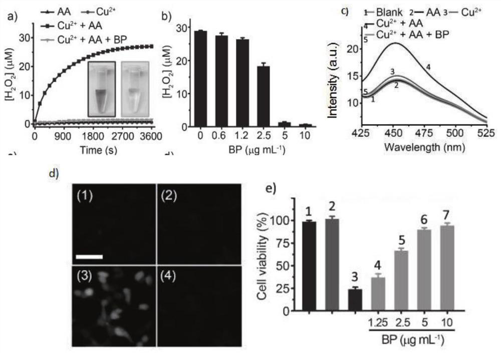 A kind of application of black phosphorus nanosheet