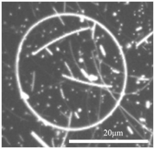 Large-ring-diameter silver nanoring and preparation method thereof
