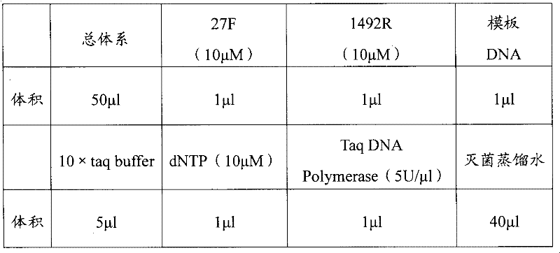 Kit and method for extracting microbial DNA
