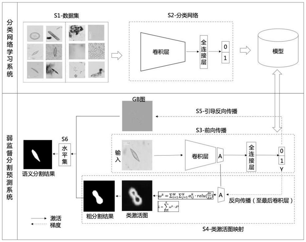 Spatial life science experiment object semantic segmentation method and device and storage medium