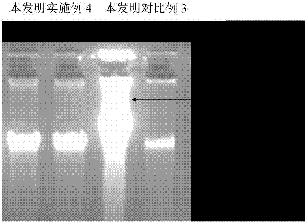 Body fluid suspension cell DNA extracting kit and extracting method