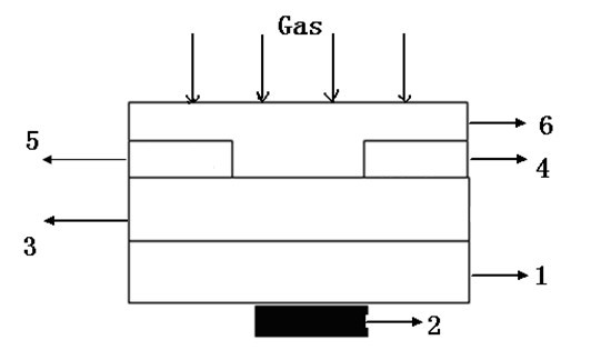 Methane gas sensor on basis of organic thin film transistor and preparation method of methane gas sensor