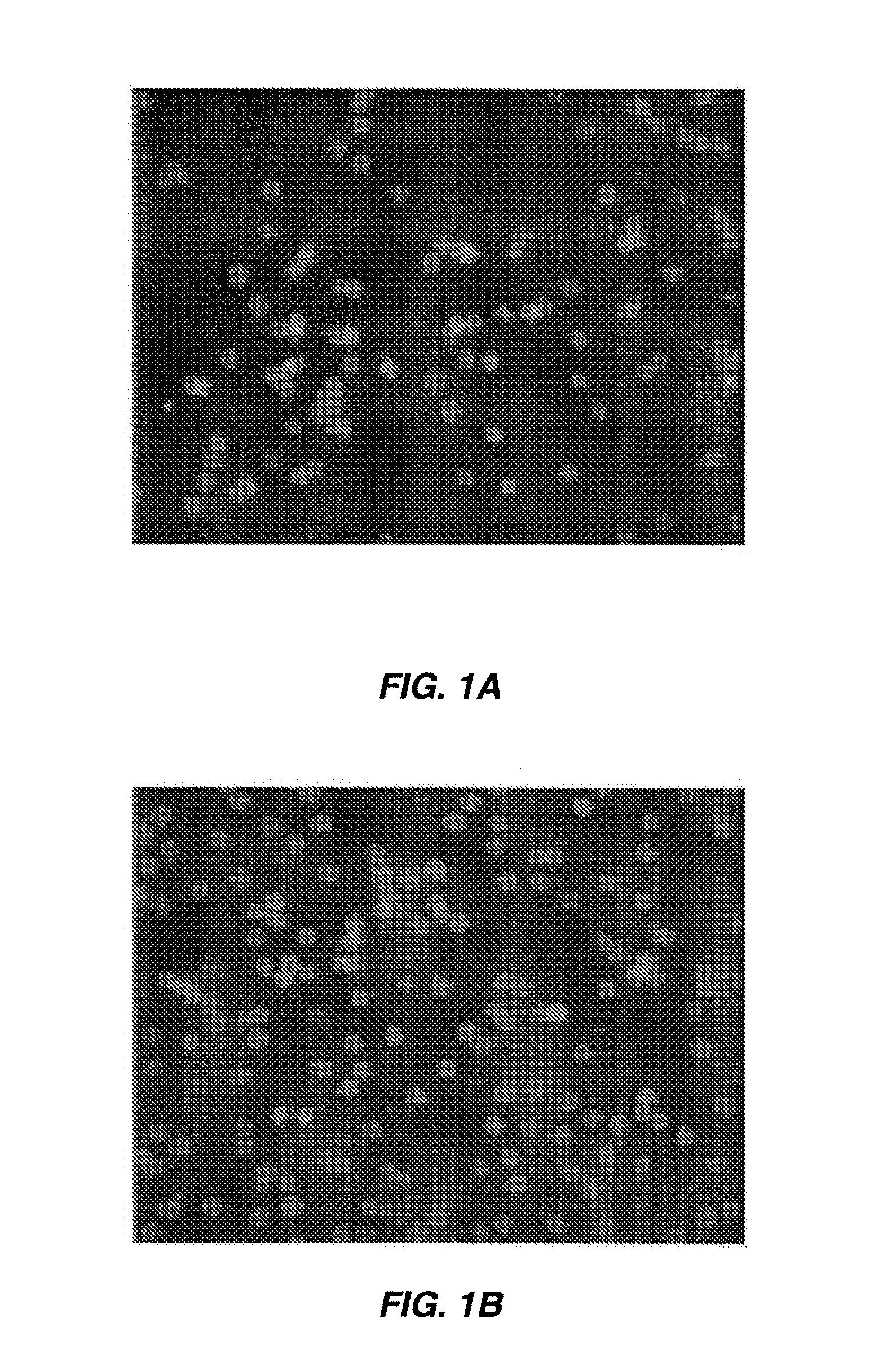 METHODS FOR PRODUCTION AND USE OF SUBSTANCE-LOADED ERYTHROCYTES (S-IEs) FOR OBSERVATION AND TREATMENT OF MICROVASCULAR HEMODYNAMICS