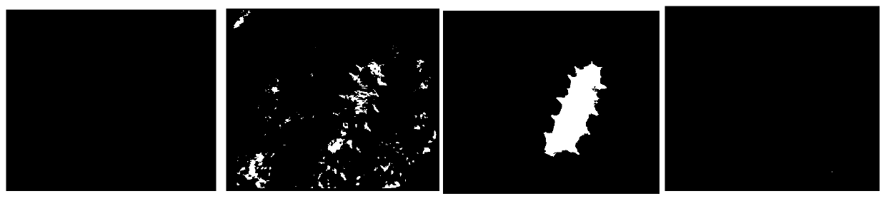 Underwater sea cucumber image segmentation method based on saliency and Grabcut