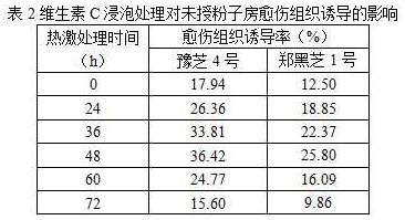 Sesamum indicum unpollinated ovary in-vitro culture callus induction method